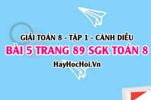 Giải bài 5 trang 89 Toán 8 Tập 1 SGK Cánh Diều